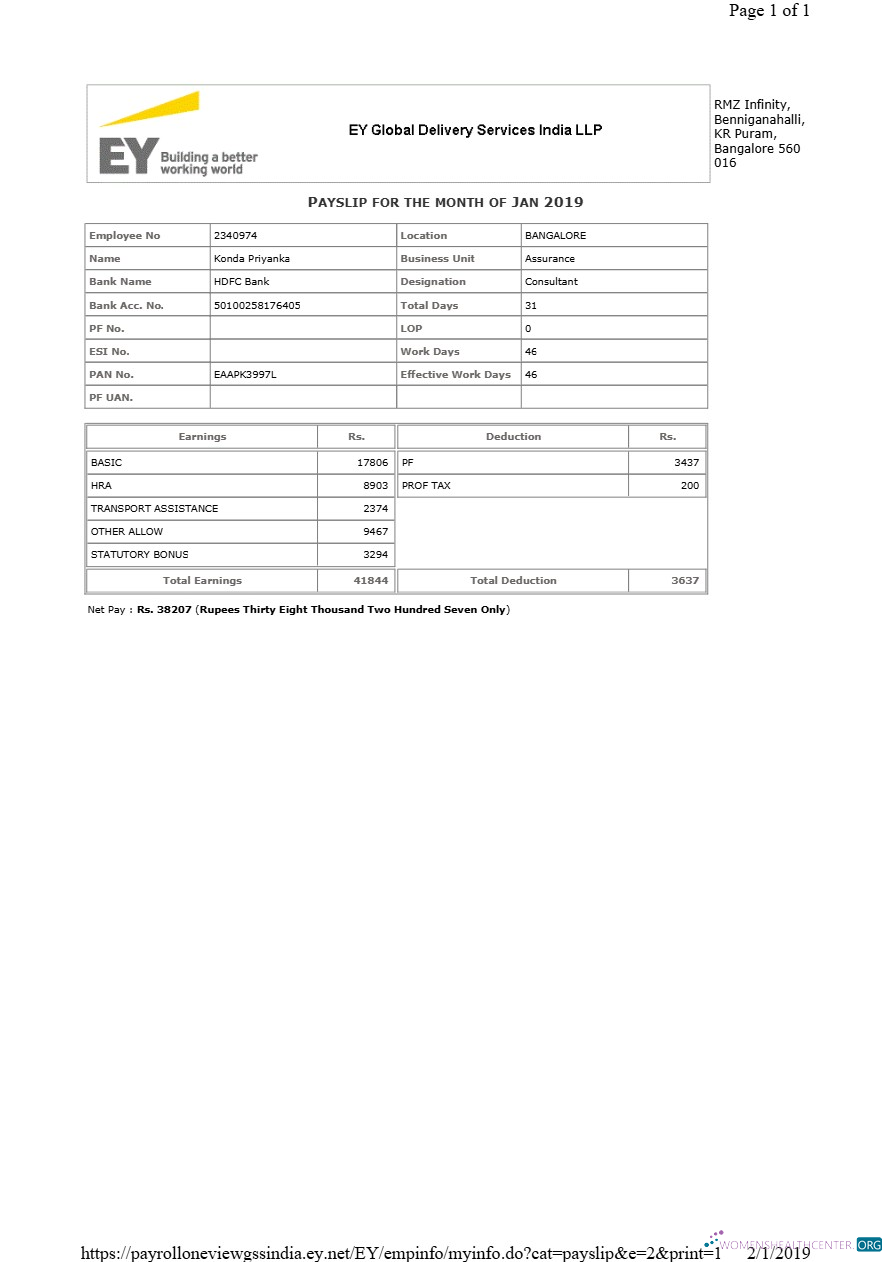 Download EY Global Delivery Services payslip template in Word and PDF formats.pdf, 1 Photoshop template